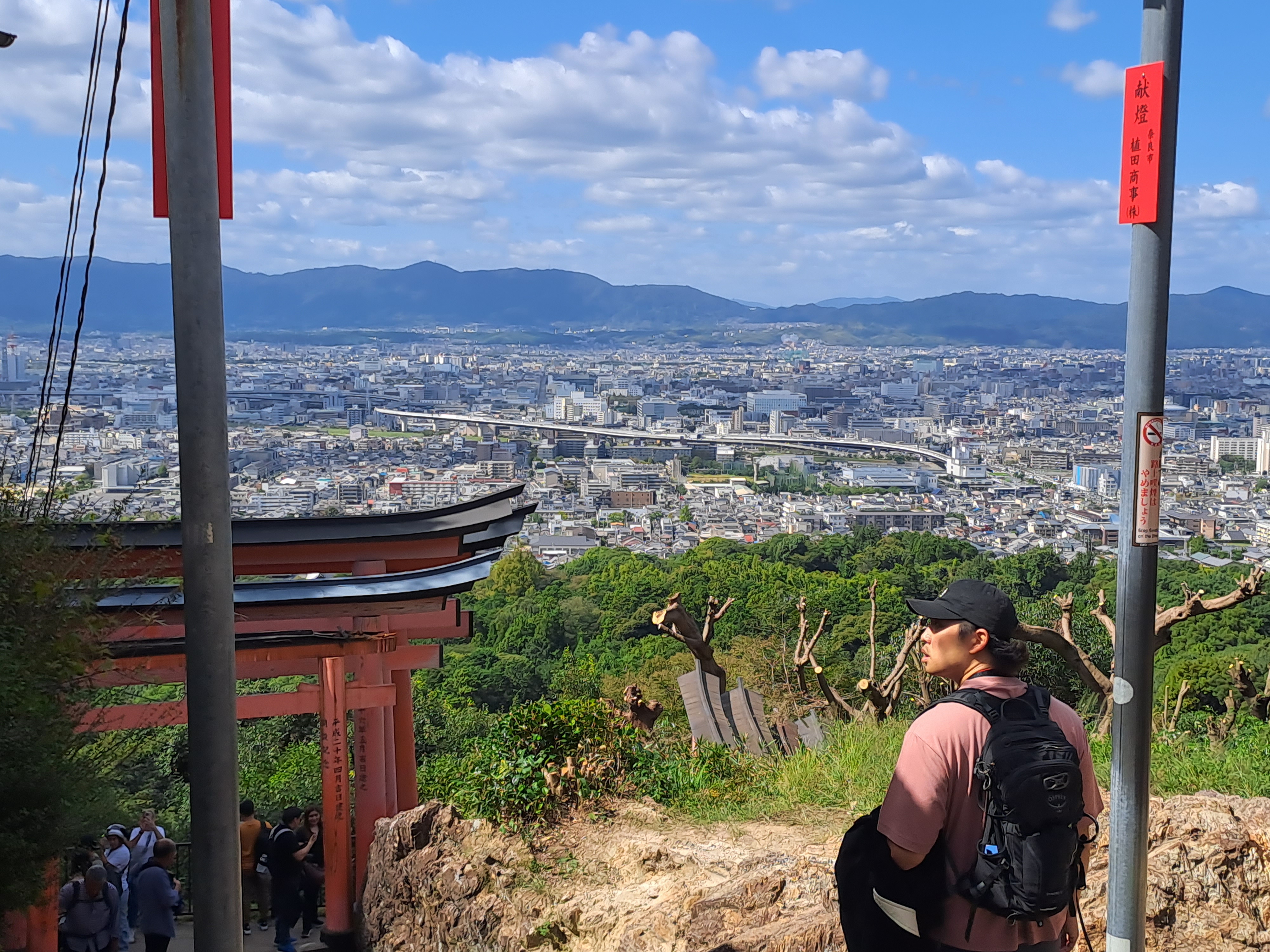 Kyoto from afar